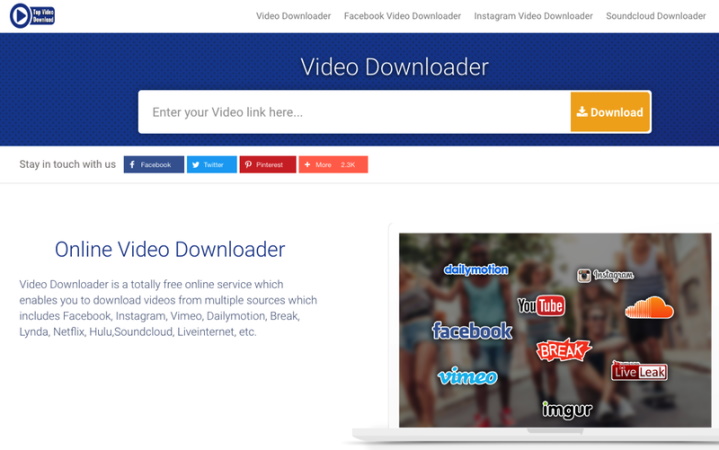 online video downloader