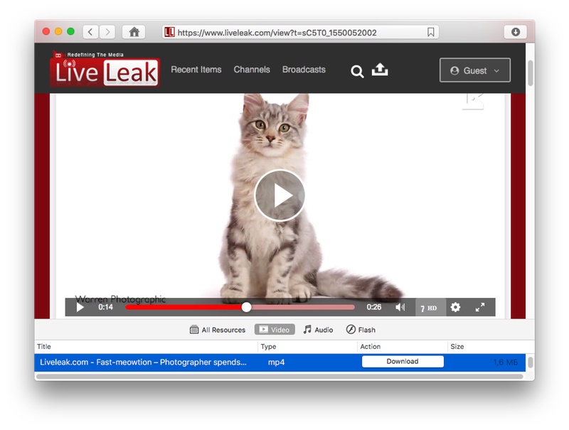 The easiest way to download LiveLeak videos on Mac